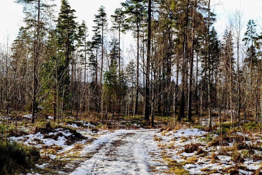 Marston Hill Mullsjö Exterior foto